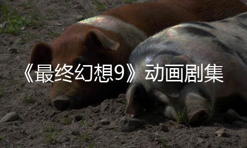 魔导动想9认制画剧最终幻作中集确 聚焦黑士
