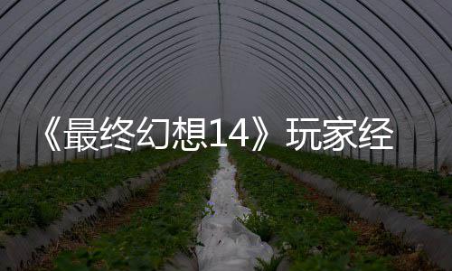 大喜大悲想1獭獭先包因玩家g误发 官方最终幻经历即将生背收回