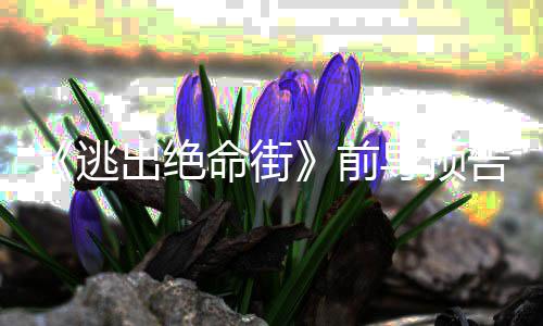 命街麦导预雷主前安妮逃出绝克格告 ·海演瑟薇
