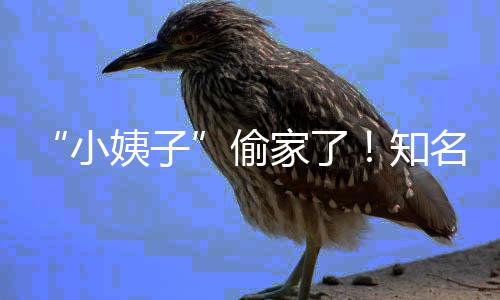 名声小宣布礼和偷田真知姨子优内家了界人结婚石川