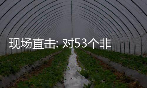 面实对5现场全国通关非洲3个国全关税货物直击建交施零首票深圳