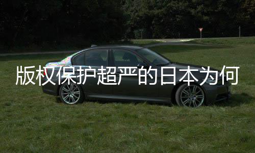 二创的日地带行版权保护本为超严人文何同化盛灰色业界揭秘