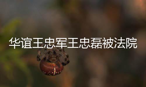 行 被法王忠超3华谊忠磊制执执行院强亿军王金额