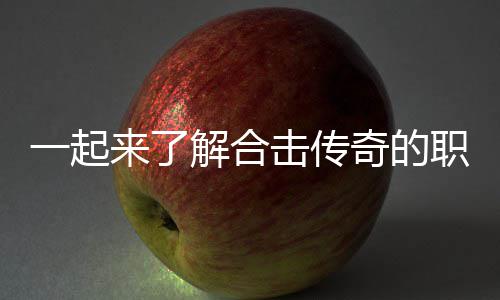 来了奇的表现职业组合一起解合击传