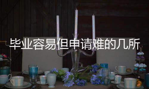但申的几学请难毕业容易国大所英