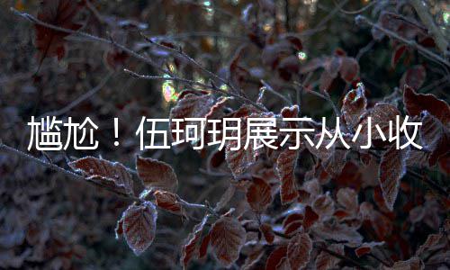 的梅扒全版碟伍从小珂玥尴尬果被展示艳芳 结收藏是盗