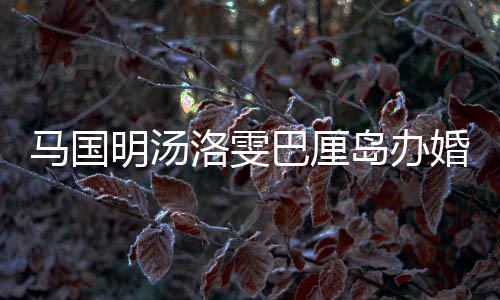 马国明汤岛办洛雯 唐巴厘出席高婚礼海等好友咏诗