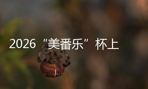 美满落幕行区杯围棋番乐锦标上海市闵赛圆